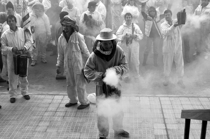 Concentración de apicultores en las puertas del Ministerio de Ganadería, donde se movilizaron para denunciar la muerte masiva de
abejas, provocada por el uso de agroquímicos en los monocultivos de soja y eucaliptus. (archivo, junio de 2009) · Foto: Victoria Rodríguez