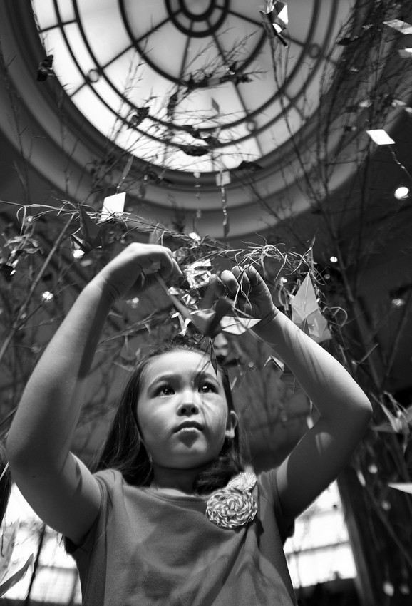 Una nina japonesa coloca una grulla de papel en un arbol Tanabata durante su
participacion en un festival Tanabata,el 30 de junio, a beneficio de los damnificados del
terremoto y posterior tsunami del 11 de marzo. · Foto: Efe, Everett Kennedy Brown