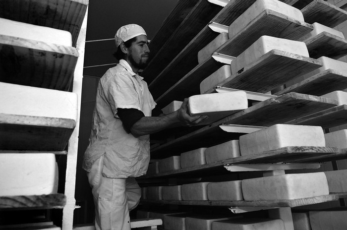 Planta de elaboración de quesos, en el departamento de Colonia. (archivo, junio de 2011) · Foto: Nicolás Celaya