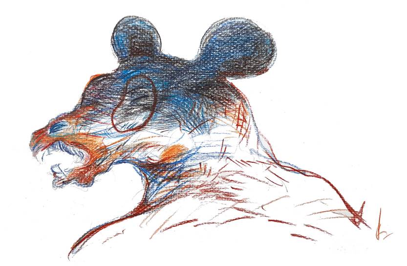 le monde 42 - Plantear la pregunta correcta