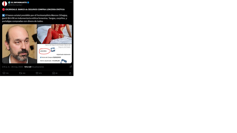 lenceria fake 1