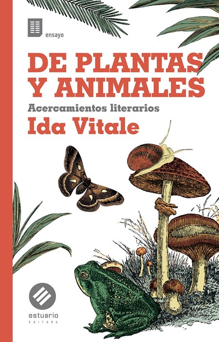 Foto principal del artículo 'Autobiografía natural: "De plantas y animales. Acercamientos literarios", de Ida Vitale' Foto principal del artículo 'Autobiografía natural: "De plantas y animales. Acercamientos literarios", de Ida Vitale'