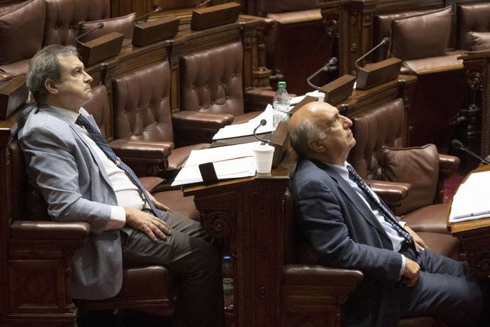 Raúl Lozano y Guillermo Domenech, durante una sesión, en la cámara de senadores (archivo, abril de 2020).


