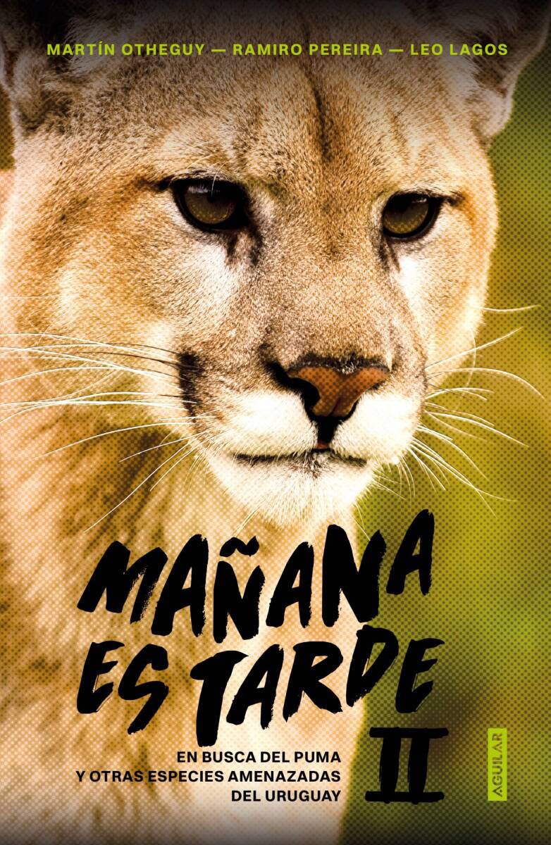 manana-es-tarde-ii-manana-es-tarde-ii