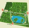 Fiesta Parque Roosevelt para adentro