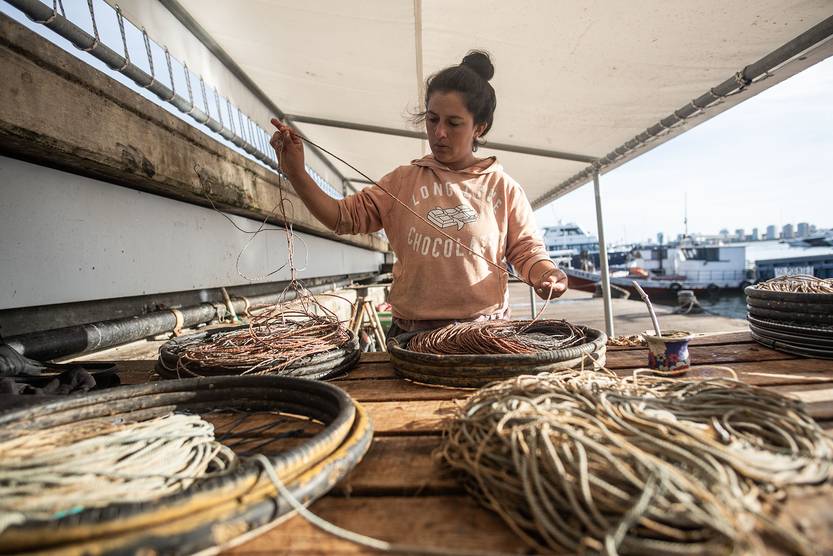 Lento 154 - Buena marea 01