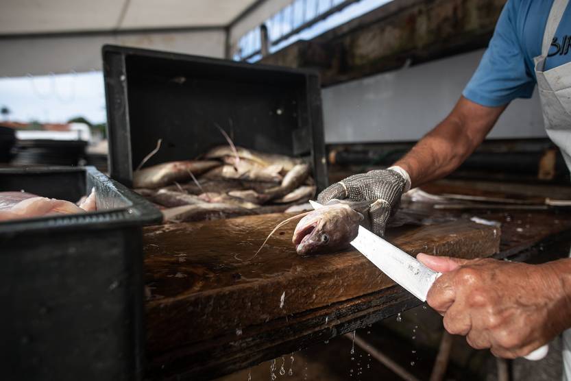 Lento 154 - Buena marea 03