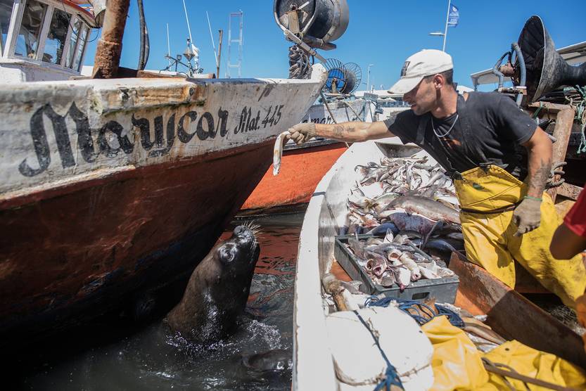 Lento 154 - Buena marea 04