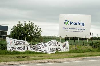 Acceso al Establecimiento Colonia, frigorífico del Grupo Marfrig (archivo, febrero de 2025). · Foto: Ignacio Dotti