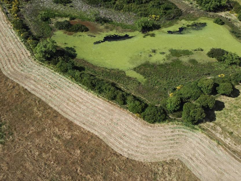 Lento 153 - El sueño Margat 02