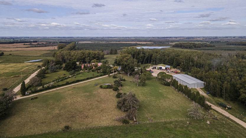 20251106 agropecuaria maria dolores2