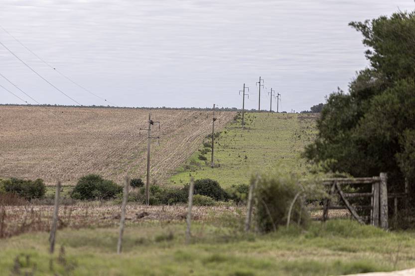 20251106 agropecuaria maria dolores3