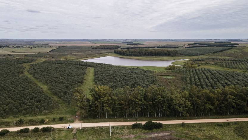 20251106 agropecuaria maria dolores4