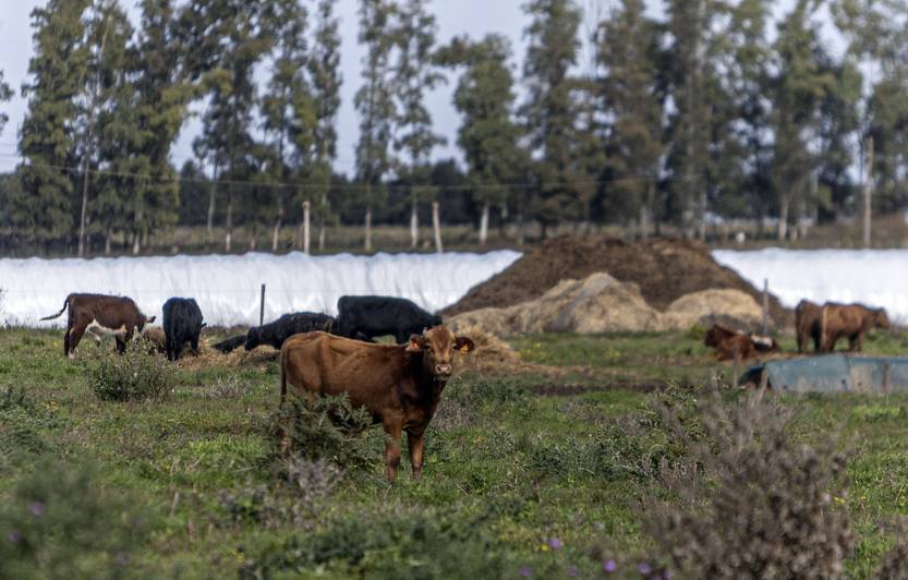 maria dolores RS280144_20250521ER_005