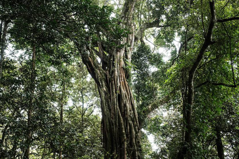 20220521 ECONOMIA medio ambiente