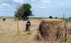 mgap 20090115RA_216