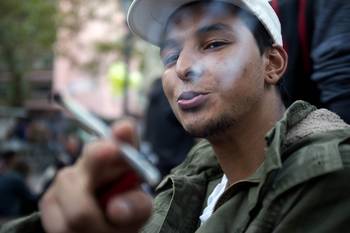 Marcha mundial de la marihuana 2017. Foto: Adrián Mariotti (archivo) Marcha mundial de la marihuana 2017. Foto: Adrián Mariotti (archivo)