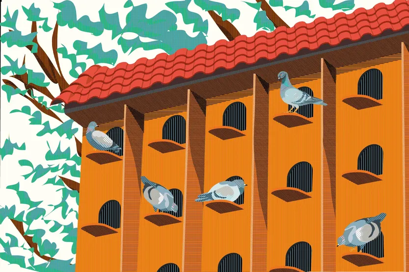 Monoambientes, ilustración