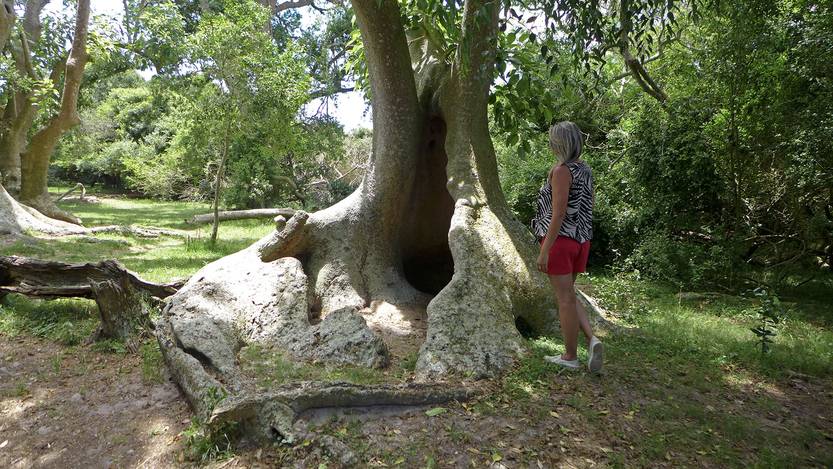 20250408 TURISMO monte ombues