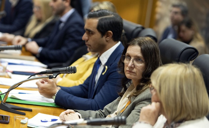 José Luis Satdjian y Karina Rando, el 17 de julio, en la Comisión de Derechos Humanos de Diputados. · Foto: Ernesto Ryan