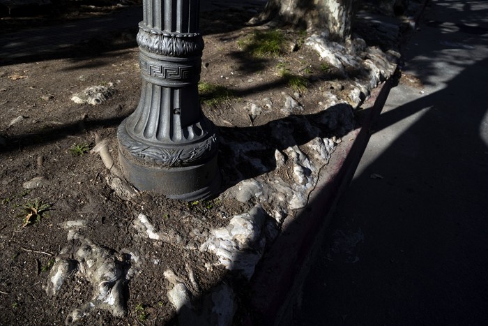 Foto principal del artículo 'Los principales desafíos de los municipios de Montevideo, según los ocho alcaldes electos' · Foto: Camilo dos Santos