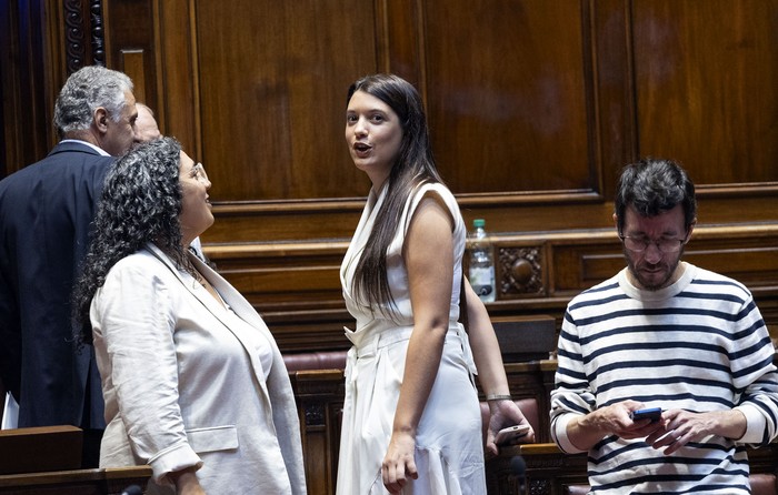 Margarita Libschitz, Julieta Sierra y Alejandro Zavala, el 15 de febrero, en Diputados. · Foto: Rodrigo Viera Amaral