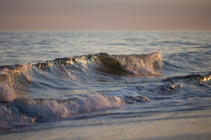 El Pinar, Canelones (archivo, enero de 2023). · Foto: Camilo dos Santos
