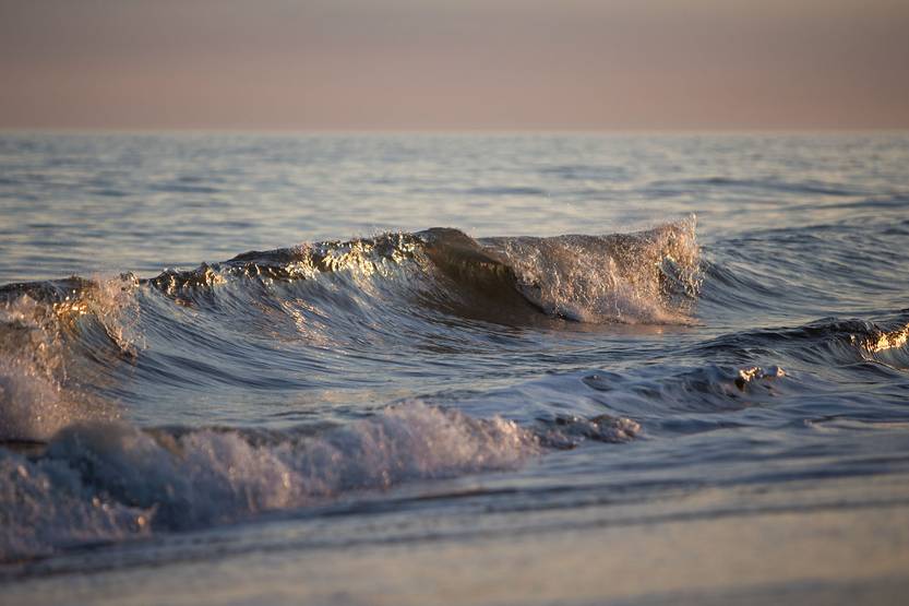 20260112 lunes oceanos