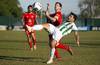 ofi IMG_4562