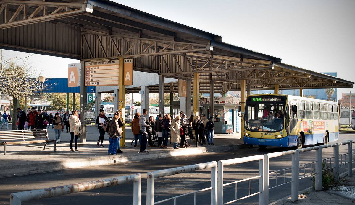 Cómo impactan las nuevas líneas de ómnibus en la periferia | la diaria |  Uruguay