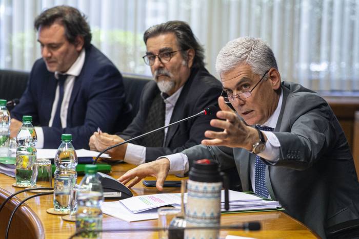 Rodrigo Goñi (d), Gustavo Zubía (c) y Mario Colman, en la comisión sobre tenencia compartida en el Parlamento (archivo, noviembre de 2022). · Foto: .