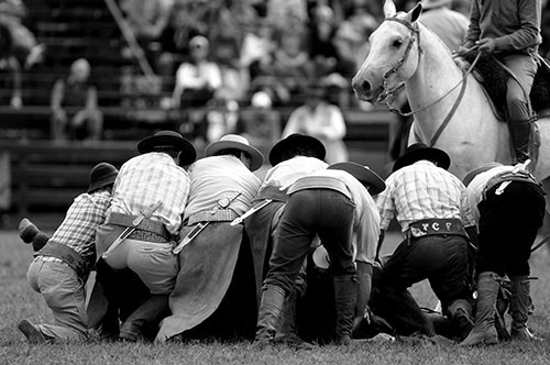 Auxilio al jinete que quedó atrapado bajo el caballo durante una jineteada en la modalidad basto oriental (con montura y riendas) el lunes pasado, en la Criolla del Prado. / Foto: Nicolás Celaya
