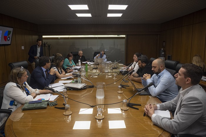 La Comisión de Industria, Energía y Minería de Diputados recibió al Instituto Cuesta Duarte y a la Cámara de Industrias, el 10 de diciembre. · Foto: Gianni Schiaffarino
