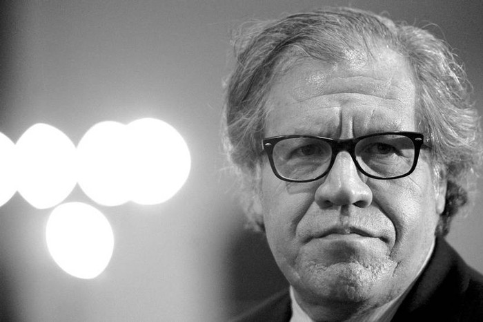 Luis Almagro, secretario general de la Organización de los Estados Americanos. Foto: Marvin Recinos / Afp (archivo, mayo de 2016)