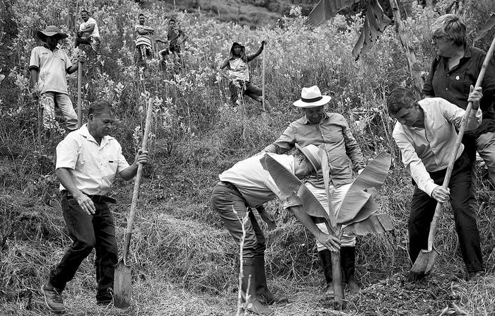 Juan Manuel Santos (c), presidente colombiano, planta un banano en una plantación de coca en el departamento de Antioquia, Colombia, en el marco de un plan del gobierno colombiano y las FARC para erradicar las plantaciones ilegales. Foto: Raúl Arboleda, AFP