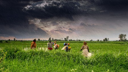 Lluvias monzónicas en los valles de Madhya Pradesh, India. Foto Rajarshi Mitra
Lluvias monzónicas en los valles de Madhya Pradesh, India. Foto Rajarshi Mitra