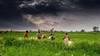 Lluvias monzónicas en los valles de Madhya Pradesh, India. Foto Rajarshi Mitra
Lluvias monzónicas en los valles de Madhya Pradesh, India. Foto Rajarshi Mitra