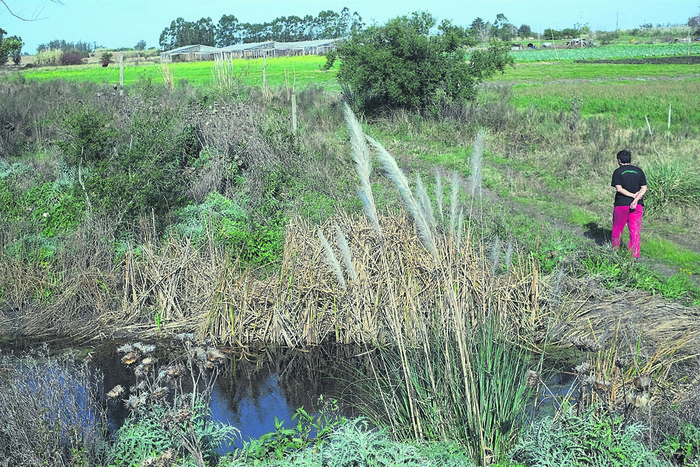 Kilómetro m 42 de la Ruta 33, localidad La Armonía, Canelones. Foto: Pablo Vignali (archivo, enero de 2017)