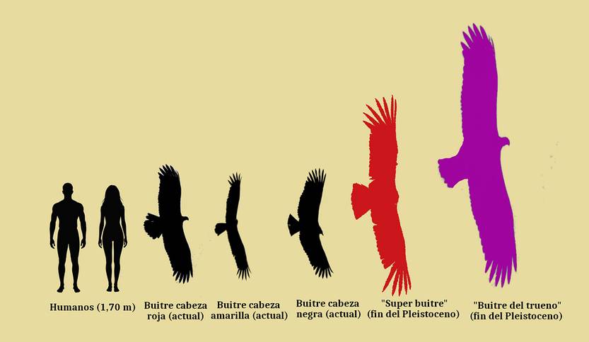 20250823 p11-13f3 cie