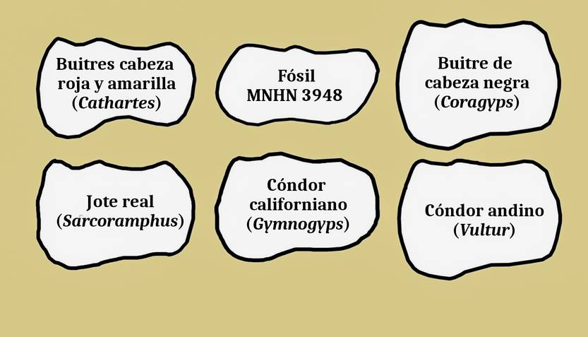 20250823 p11-13f4 cie