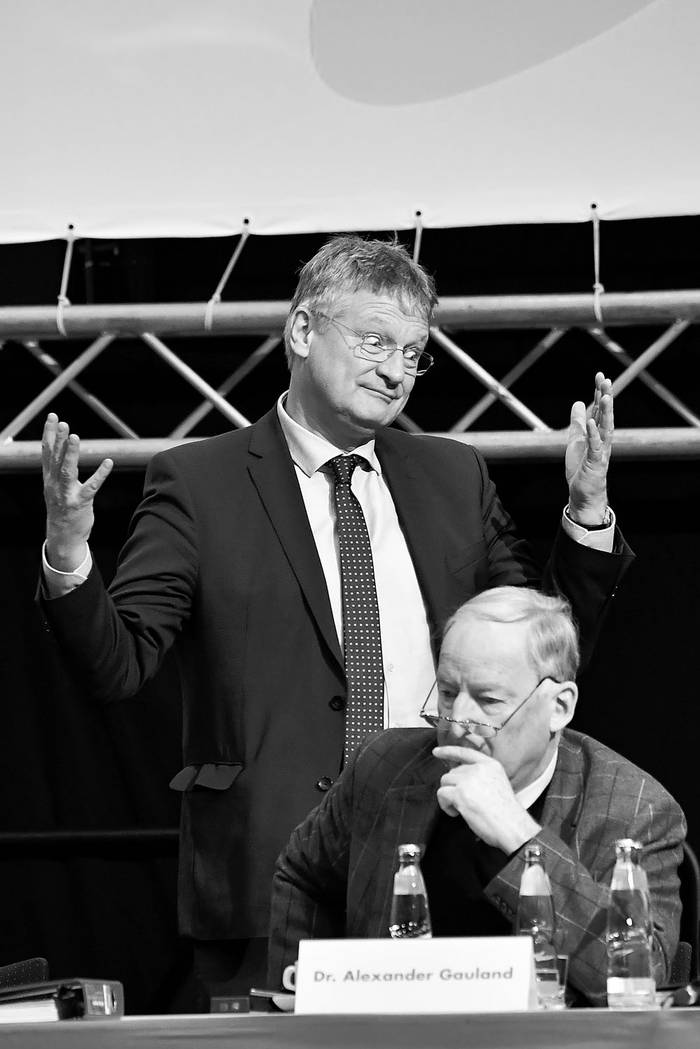 Jörg Meuthen y Alexander Gauland, el domingo, en el congreso del partido Alternativa para Alemania, en Hannover. Foto: Tobias Shwarz, AFP