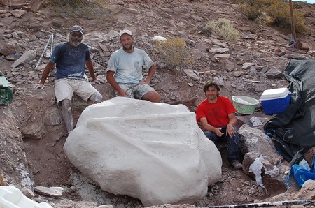 Los paleontólogos Salgado, Caraballido y Canudo posan junto al bochón denominado "Alfredo" que contiene el cráneo y vértebras del ejemplar adulto. · Foto: S/d de autor, difusión Los paleontólogos Salgado, Caraballido y Canudo posan junto al bochón denominado "Alfredo" que contiene el cráneo y vértebras del ejemplar adulto. · Foto: S/d de autor, difusión