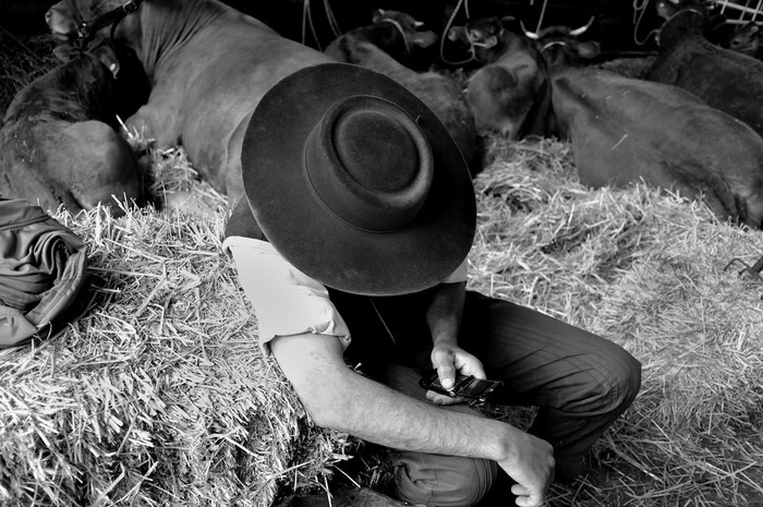 Un trabajador opera un teléfono móvil en la rural del Prado. (archivo, setiembre de 2009) · Foto: Ricardo Antúnez