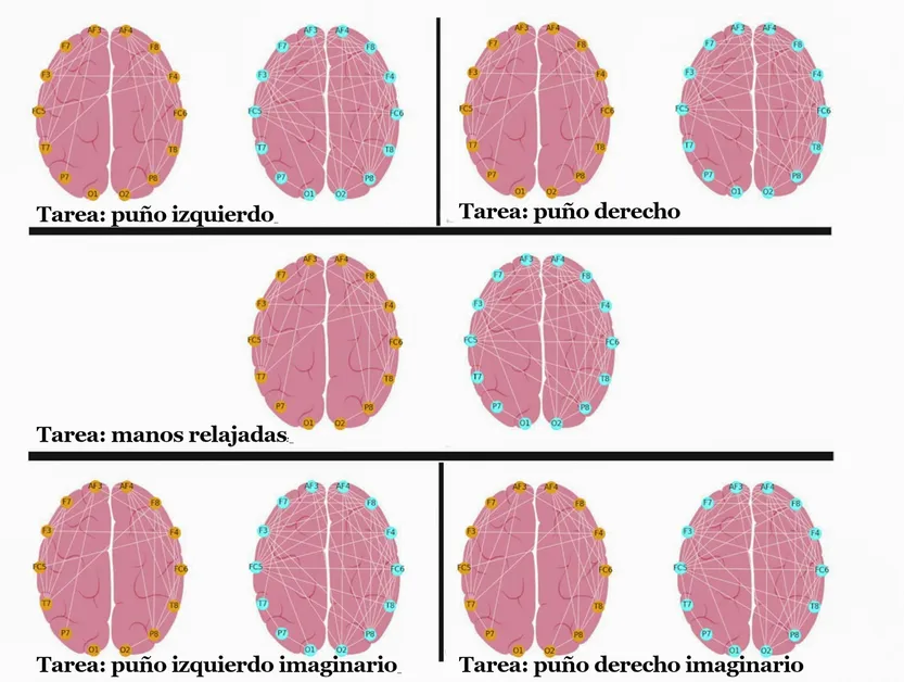 20260307 cie p12-14f2