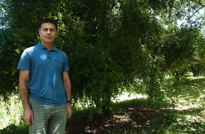 Alejandro Brazeiro, Doctor en Ecología delante de un coronilla. Foto: Manuela Aldabe
