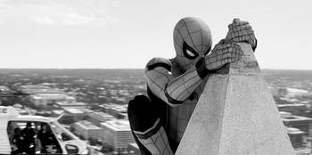 Spider-Man, de regreso a casa. Spider-Man, de regreso a casa.