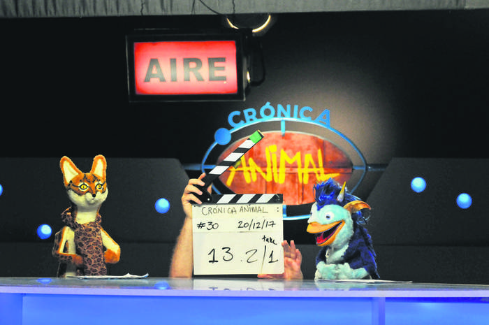 Rodaje de la serie Crónica animal. Foto: Federico Gutiérrez