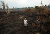El ganadero Helio Lobardo, en medio de la destrucción dejada en su hacienda por uno de los incendios que han golpeado la Amazonía brasileña, en el estado de Rondonia, Brasil.
El ganadero Helio Lobardo, en medio de la destrucción dejada en su hacienda por uno de los incendios que han golpeado la Amazonía brasileña, en el estado de Rondonia, Brasil.
