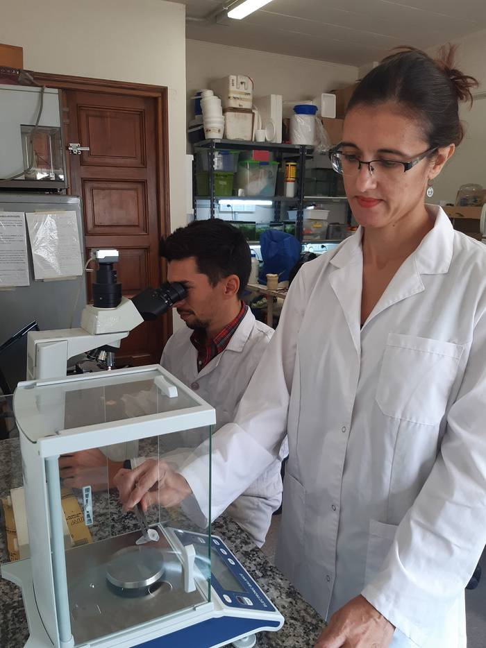 Alejo Bonifacio y Andrea Hued en el laboratorio.
Foto gentilieza de los investigadores