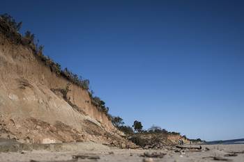 Barrancas en Arazatí (archivo, octubre de 2024). · Foto: Mara Quintero